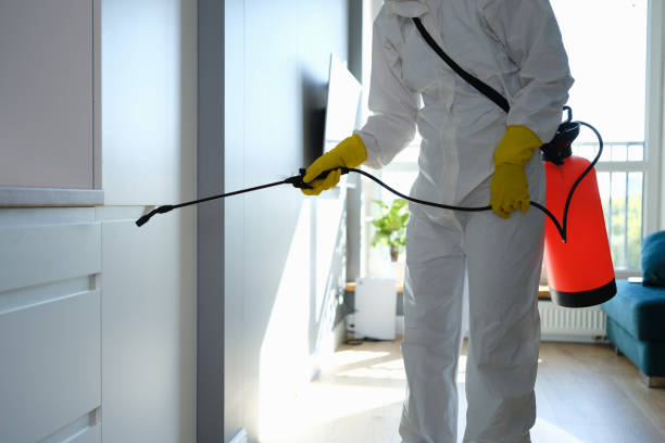 Best Environmental Consulting for Mold Prevention  in Somerville, TX